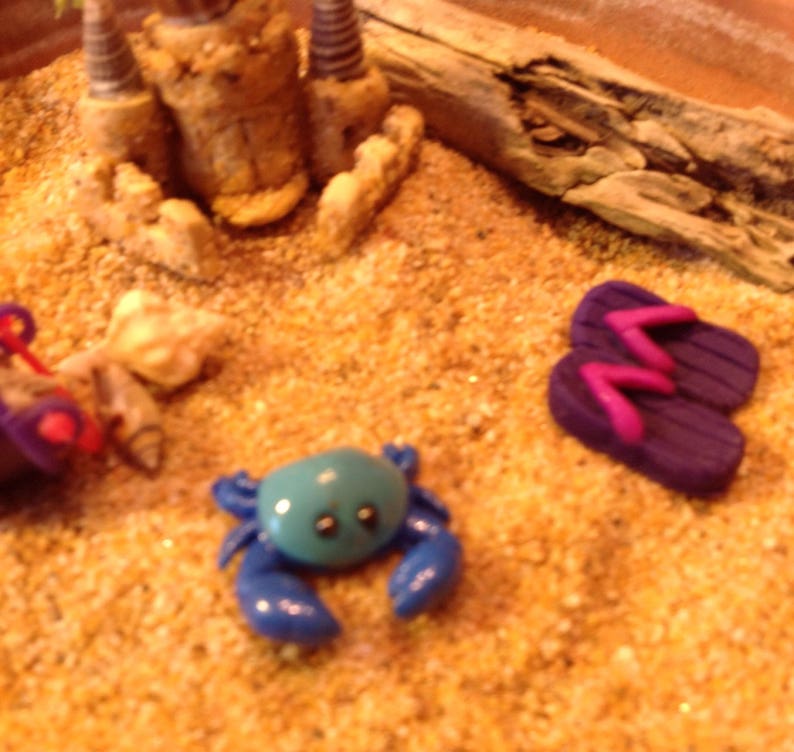 OOAK Miniature Crabs, Fairy Garden Accessory, Terrarium Accessory, Diorama Accessory, Miniature Beach Decor Accessory image 3
