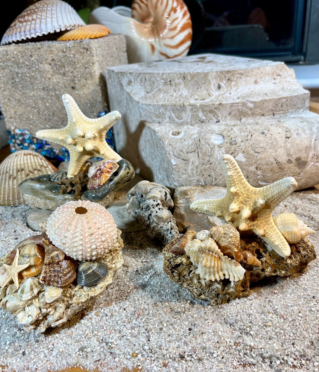 Beach Home Decorations, Ocean Side Shell Decorations, Shell Art Shelf Sitters, Coffee Table