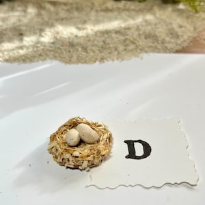 Puede incluir: Un peque&ntilde;o nido de p&aacute;jaro marr&oacute;n con dos huevos blancos en su interior. El nido est&aacute; hecho de paja y est&aacute; sobre una superficie blanca. La letra "D" es visible en el fondo.