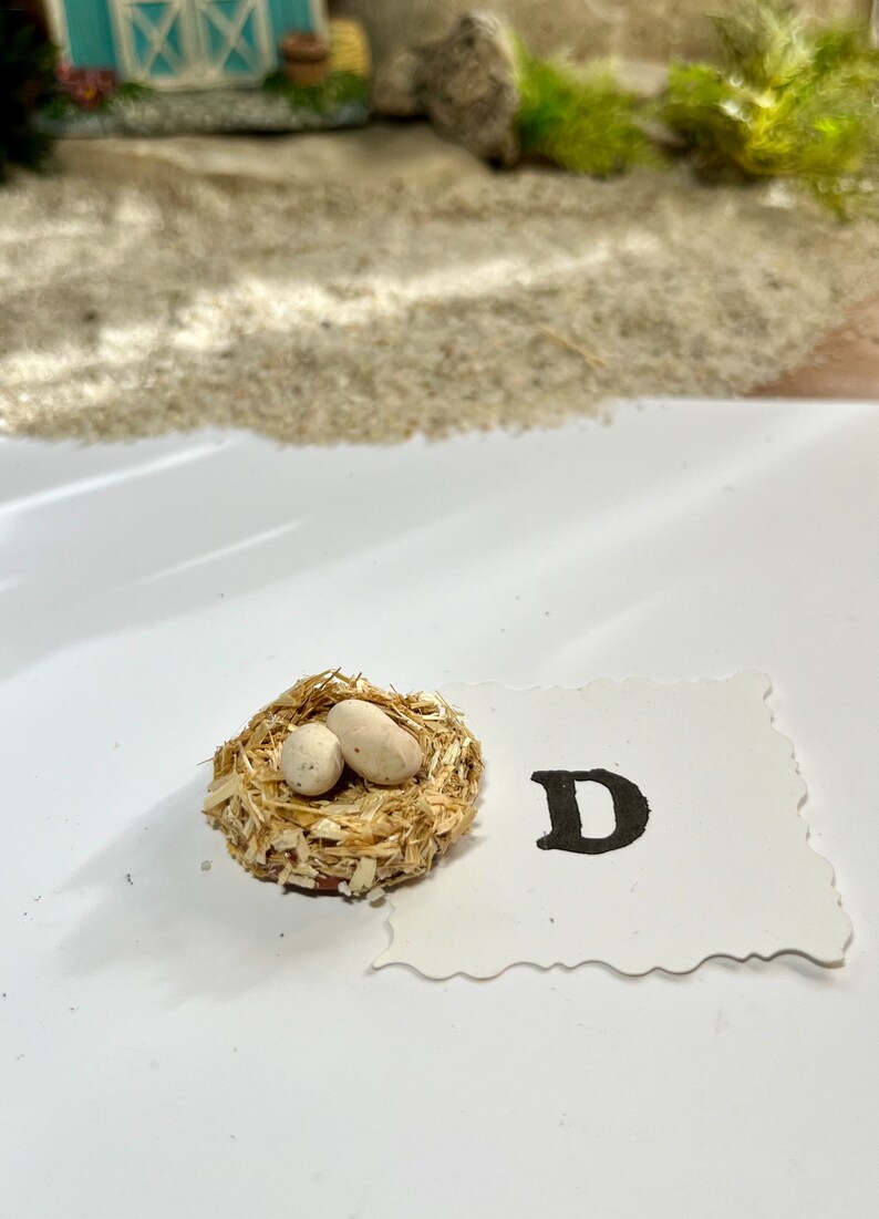 Puede incluir: Un peque&ntilde;o nido de p&aacute;jaro marr&oacute;n con dos huevos blancos en su interior. El nido est&aacute; hecho de paja y est&aacute; sobre una superficie blanca. La letra "D" es visible en el fondo.