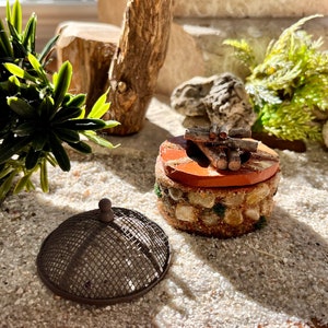 1:12 Scale Miniature Lighted Fire Pit , Miniature Wood Adirondack Chairs, Dollhouse Campfire, Fairy Garden  Campfire, Ships Free