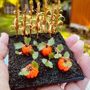 May include: A miniature diorama featuring four small orange pumpkins with green leaves resting on a dark, textured soil base. Behind the pumpkins, six thin, dried stalks stand upright, mimicking a small cornfield patch in a square display.