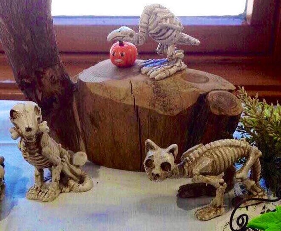 Accessories Miniature Dollhouse FAIRY GARDEN Skeleton Cat