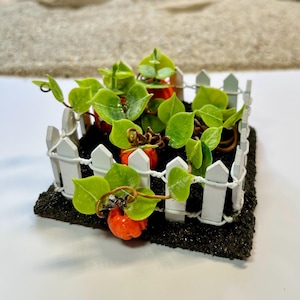 Miniature Pumpkin Garden: Dollhouse Fairy Garden Decor
