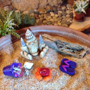 OOAK Miniature Crabs, Fairy Garden Accessory, Terrarium Accessory, Diorama Accessory, Miniature Beach Decor Accessory image 2