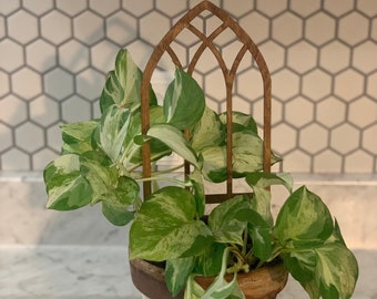 Plant Trellis, Window Arch Plant Trellis, Plant Decor, Church Window Trellis.