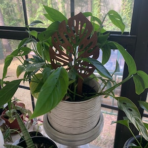 Plant Trellis, Monstera Leaf Plant Trellis, Plant Decor, Leaf Trellis.