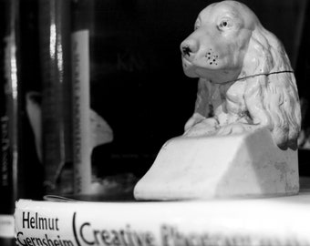 Studio Vignettes The Dog - B&W Fine Art Photograph - Original Wall Art