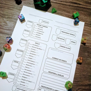 DnD 5e Character Binder Printable Sheets // Campaign Journal