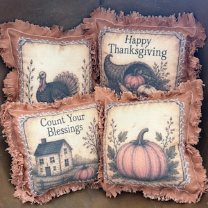 May include: Four square fabric bowl fillers with frayed edges in a rust-orange color. Each features a printed design: a turkey, a cornucopia with pumpkins, a house with the text Count Your Blessings, and a pumpkin with the text Happy Thanksgiving.
