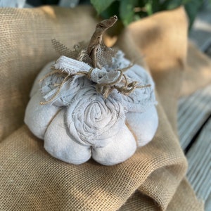 Natural looking pumpkin, Thanksgiving Decor image 2