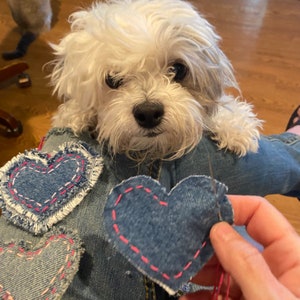 May include: A white dog with fluffy fur sits on a person's lap. The person is sewing denim hearts with pink thread onto a pair of blue jeans.