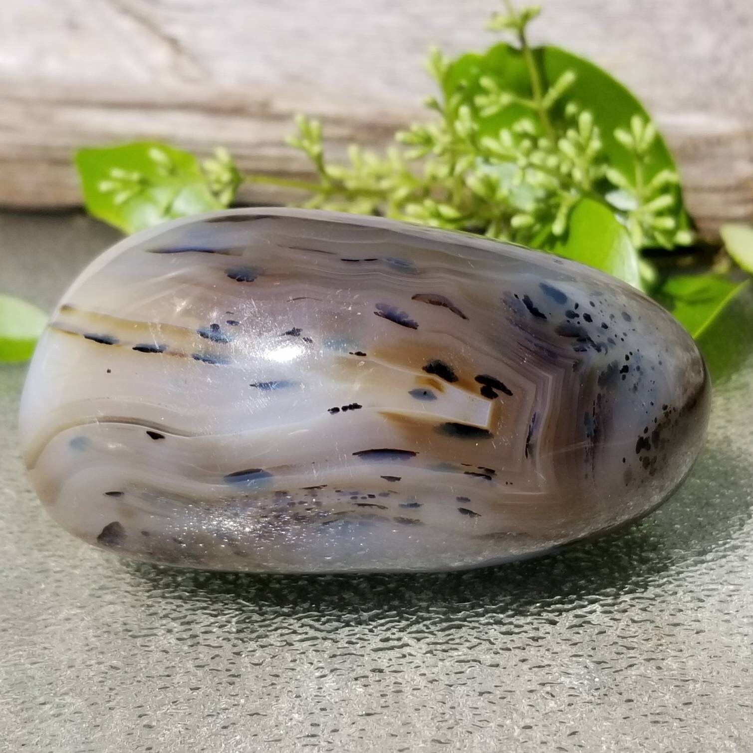 dendrite stone dendrite stone