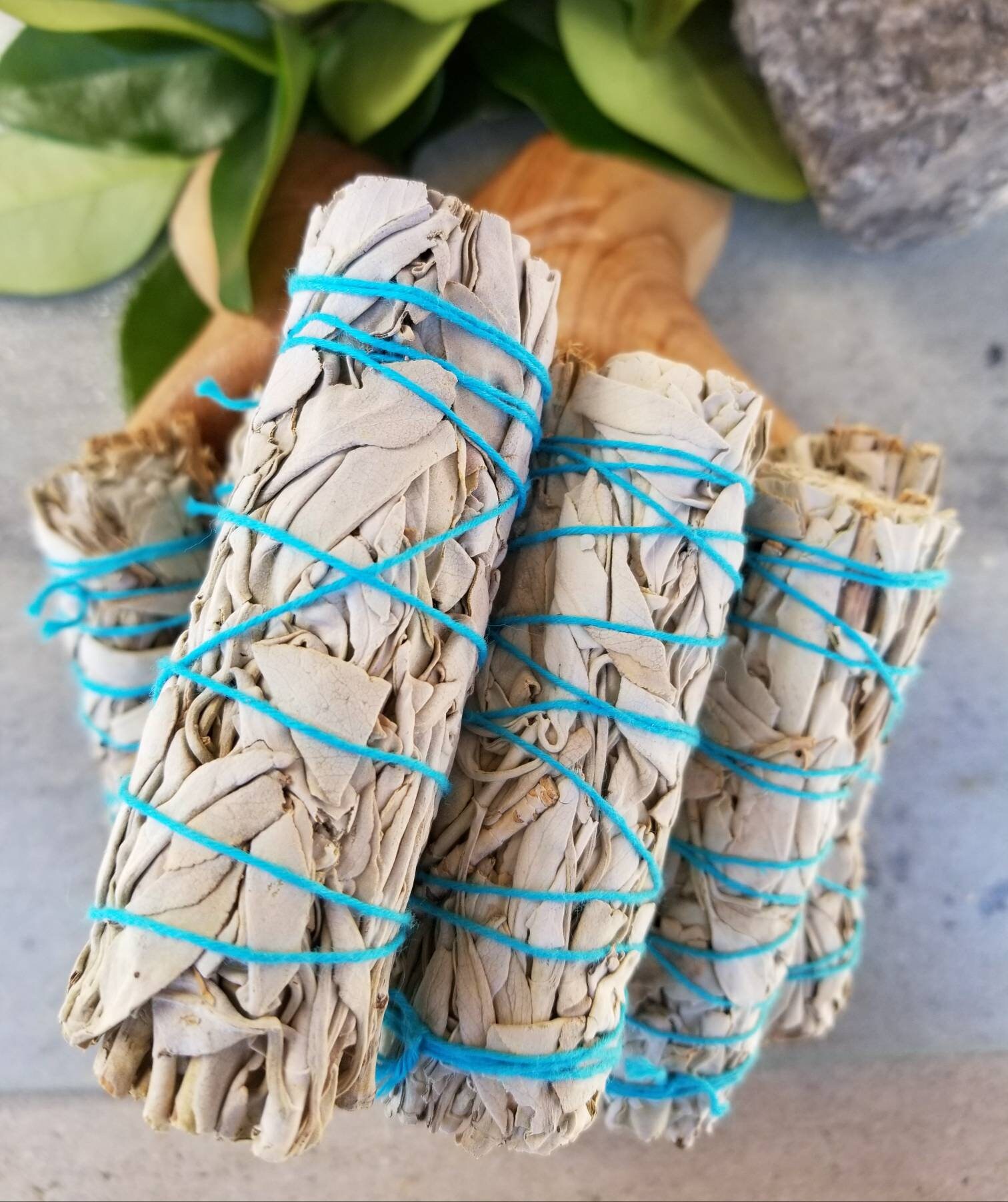 Sage Stick 4 / Smudge Sick / Chubby Sage Stick / Etsy