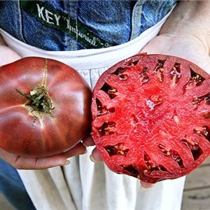 Cherokee Purple Tomato Seeds