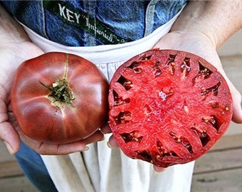 Cherokee Purple Tomato Seeds