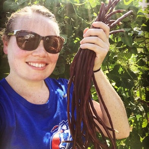 Può includere: Una persona tiene in mano un mazzo di fagiolini lunghi, sottili e viola. I fagiolini sono lunghi circa 45 cm e sono disposti a ventaglio. La persona indossa una camicia blu con un logo bianco.