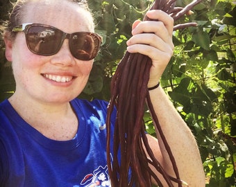 20+ Yard Long Red Noodle Bean Seeds from my 2025 garden climbing pole trellis organic garden