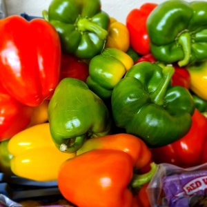 Sweet Bell Pepper Seeds 2021 Garden