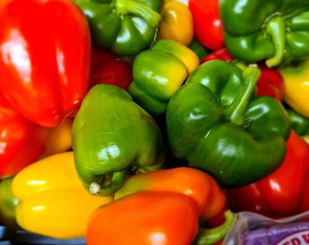 Sweet Bell Pepper Seeds 2021 Garden
