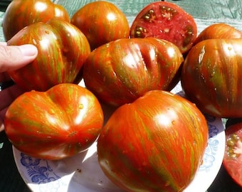 Berkeley Tie-Dye Heart Tomato Seeds from my 2025 Garden