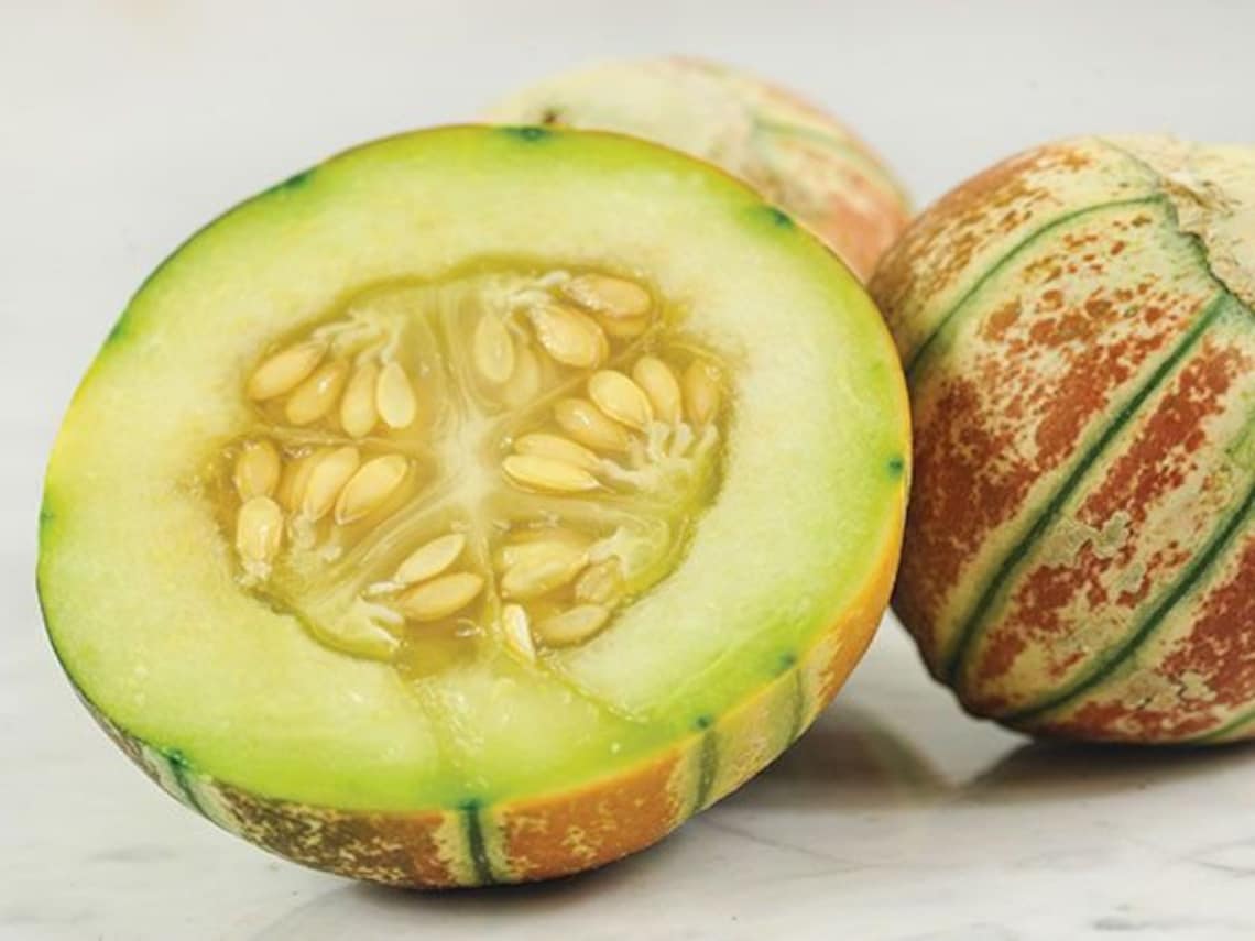 20 Kajari Melon Seeds From 2022 Garden Rare Indian Striped Etsy