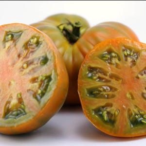 May include: Close-up of four halved tomatoes with green and orange flesh. The tomatoes have a starburst pattern in the center.