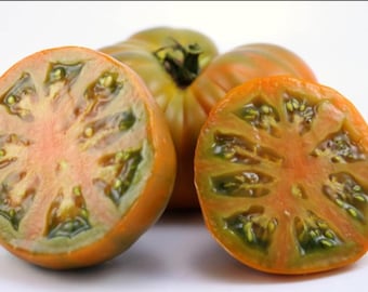 20+ Thornburn's Terracotta Slicing Beefsteak Tomato Seeds Heirloom Indeterminate Orange