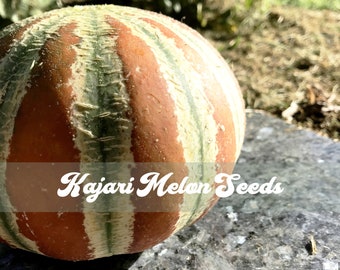 20+ Kajari Melon Seeds from 2025 Garden - Rare Indian Striped Honeydew Pocket Melon