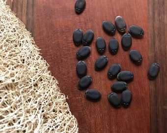 Luffa Gourd Seed pack of 20 from my 2022 garden season