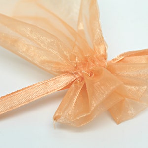 Neutral Tones Organza Bags- 4 X 6 - Reusable Fabric Gift Bags - Jewelry Packaging- Party Favor Bags- Gift Packaging- Set of 10