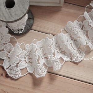 May include: White lace trim with a floral design. The lace is delicate and intricate, with small flowers and leaves.