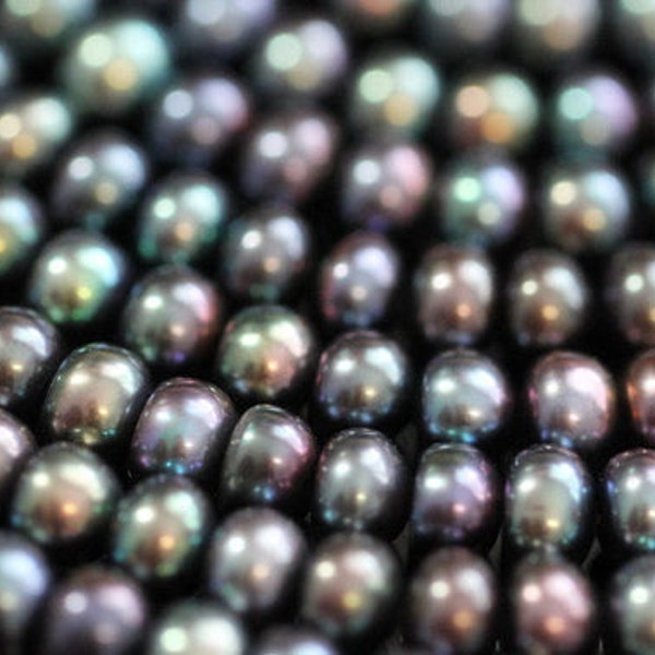 AA Plus Peacock Center-drilled Button Freshwater Pearls, 7.5 mm, 16 inches, 75 beads (FP0301BT)