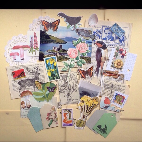 Nature and the Garden paper ephemera pack
