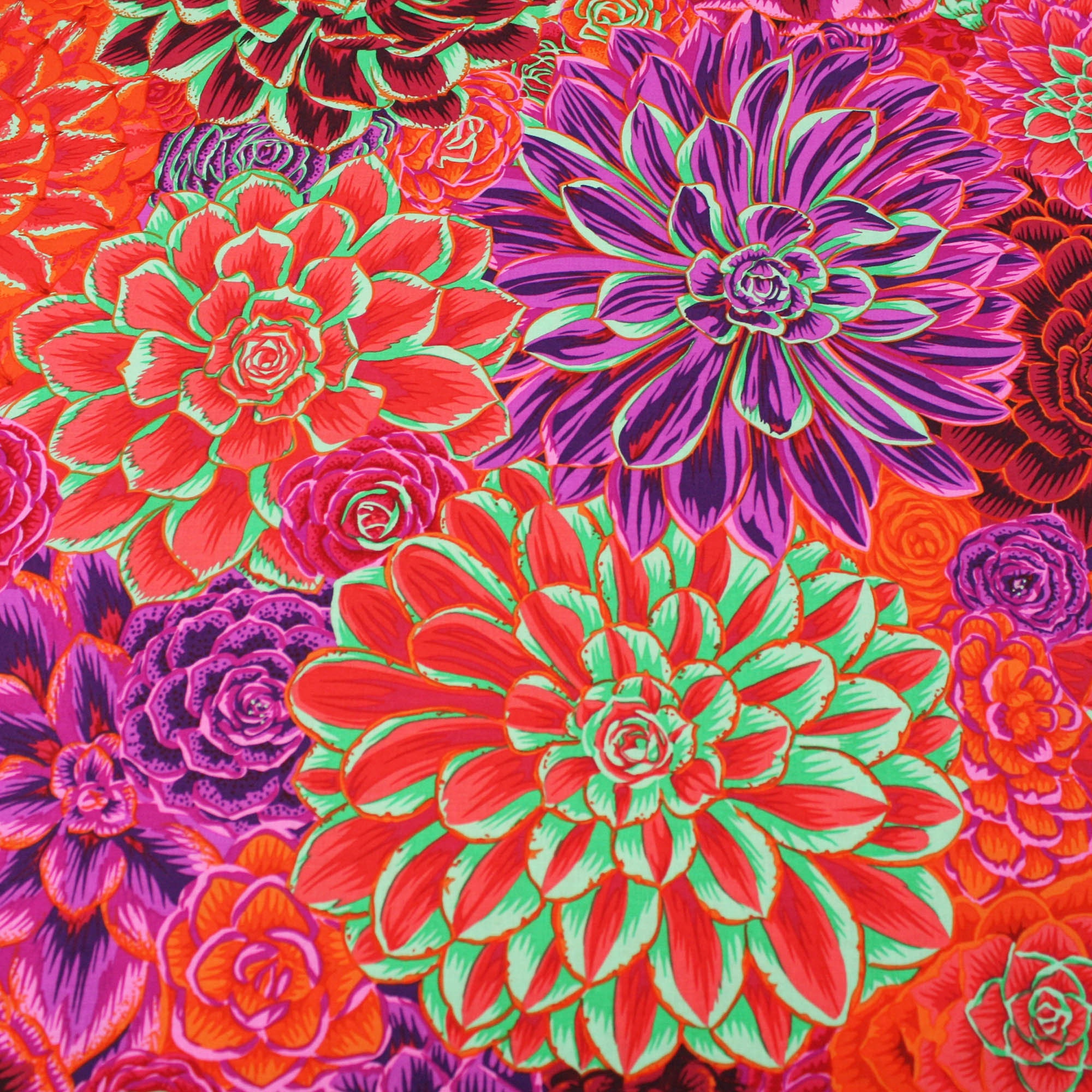 Kaffe Fassett Flora House Leeks 100% Cotton Quilting Craft Clothing ...