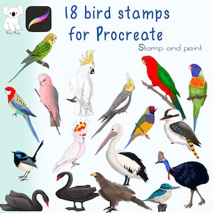 Procreate スタンプ - iPad で使える 18 種類の鳥 - ブラシ - オーストラリアの鳥 - 動物ブラシ - スタンプとカラー