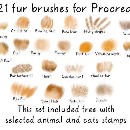 21 Fur Brushes for Procreate on Ipad for Teddy Bears Cats Etsy