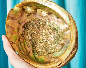 Vintage Large Abalone Shell - Footed Dish - Abalone Smudge Bowl