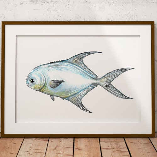 Watercolor Fish Permit Fish Print Permit Fishing Mount Art Etsy