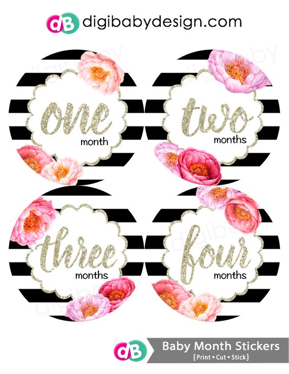 Stripes floral Baby Month Stickers, Milestone Stickers, Baby Shower Gift, Black and White Flowers, baby girls sticker - Instant Download Il_570xn