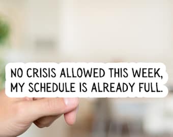 Funny Work Sticker, No Crisis Allowed This Week, sarcastic work sticker, sticker for coworker, work friend gift, laptop decal, water bottle