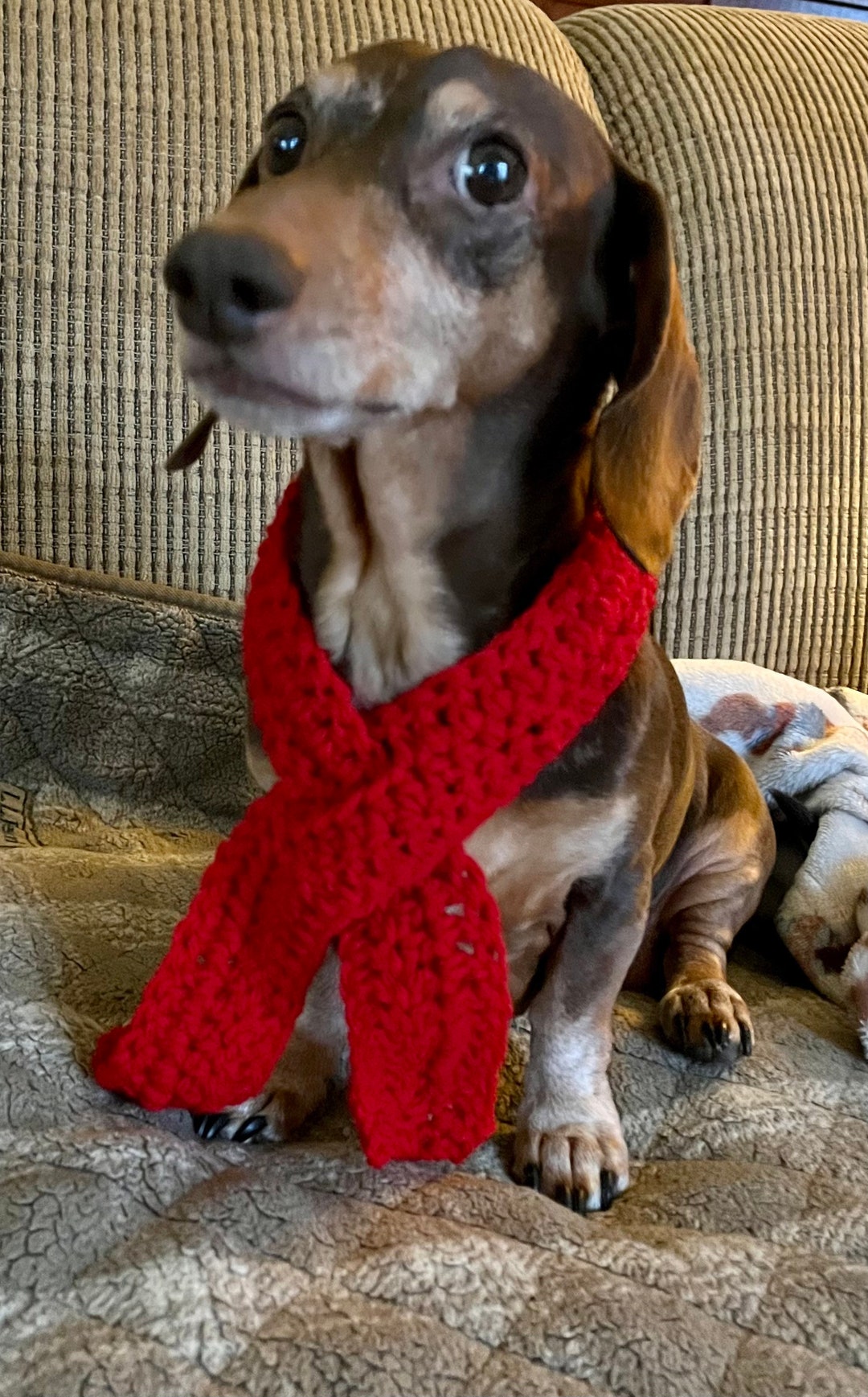 Handmade Pet Scarf, Dog Scarves, Fur Baby Scarf, Red Dog Scarf, Holiday