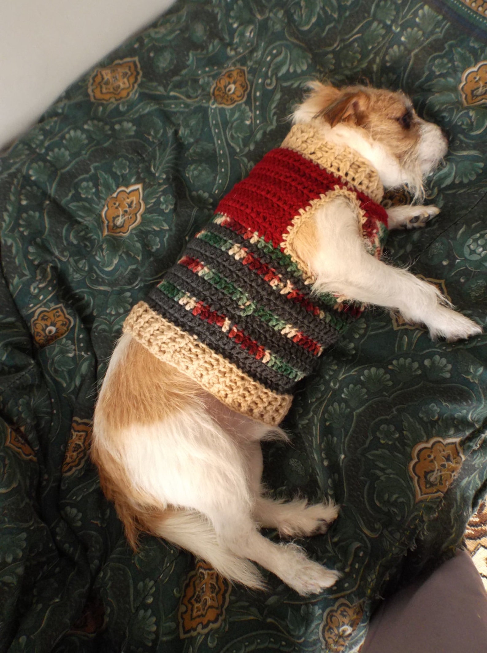 Quick and Easy Dog Sweater Pattern Etsy