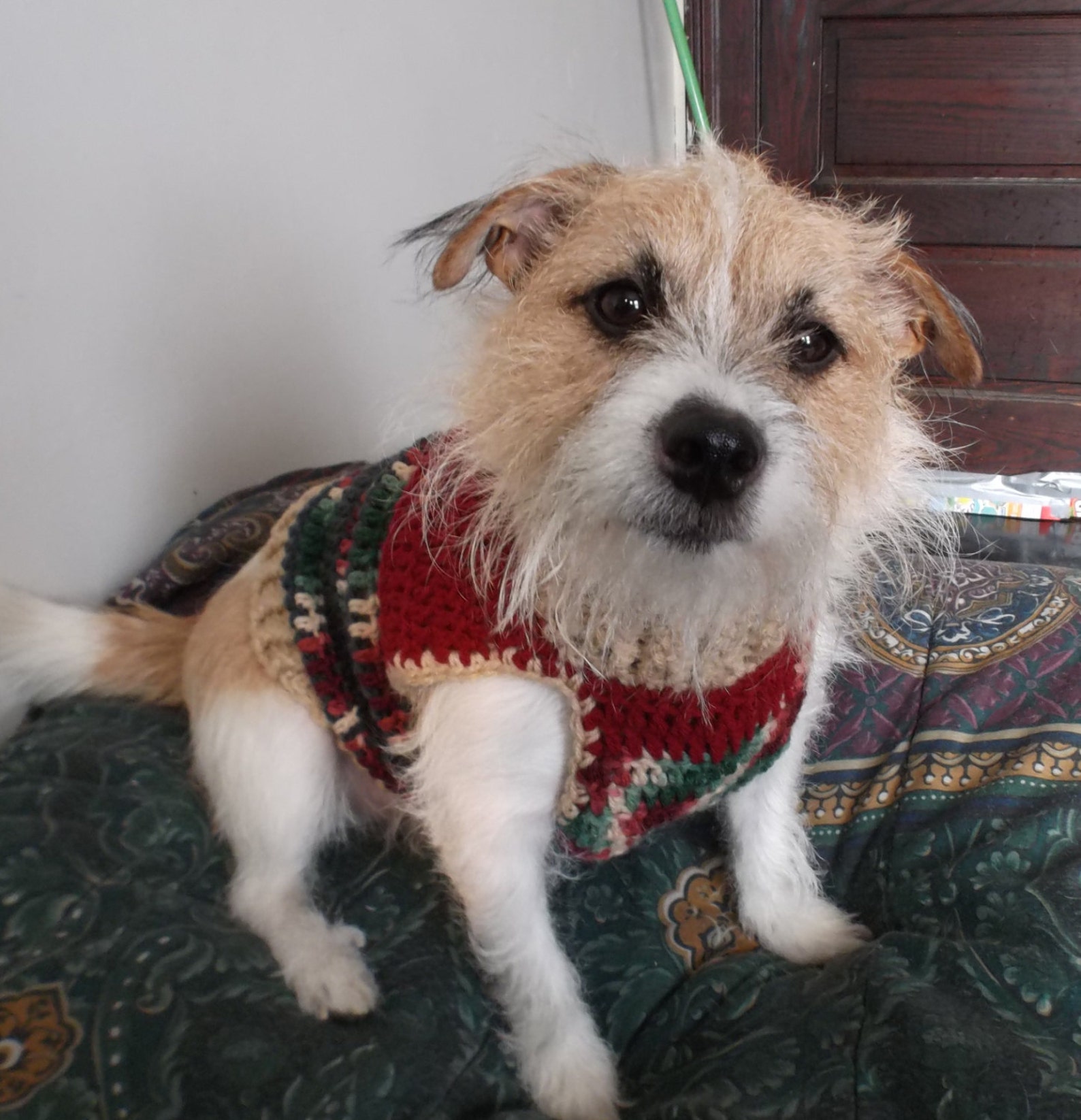 Quick and Easy Dog Sweater Pattern - Etsy