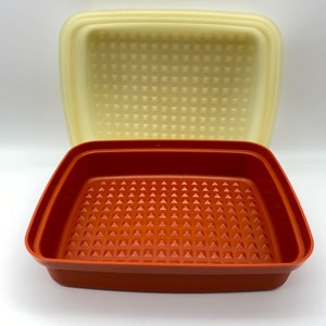 Vintage Tupperware Set of Two Paprika 1294 and 1292 With Lids, Tupperware  Meat Marinade Container Set 