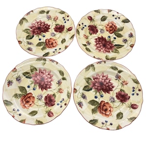 Noble Excellence Splendor Salad plates Plates Lattice Country chic chintz set of 4 9&quot;