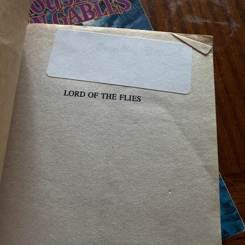Classic Literature Book Lot Lord of the Flies Odyssey Fountainhead 6 Paperback image 17