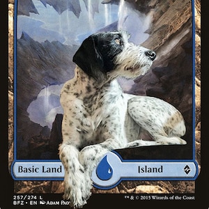 Personalized Pet Magic the Gathering Foil Land