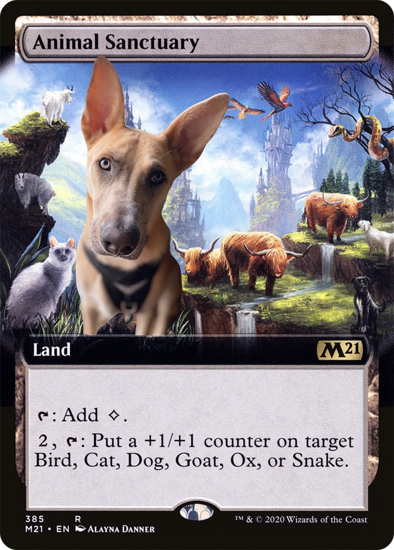Personalized Pet Magic the Gathering Foil Land Etsy