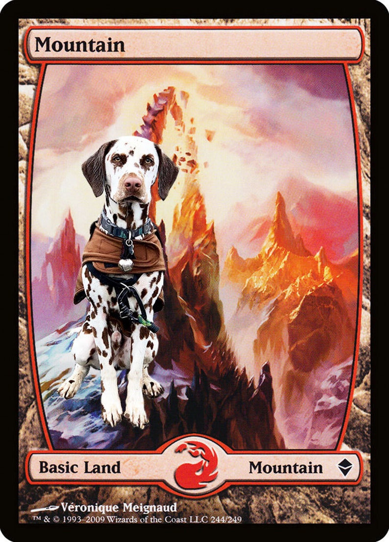 Personalized Pet Magic the Gathering Foil Land Etsy